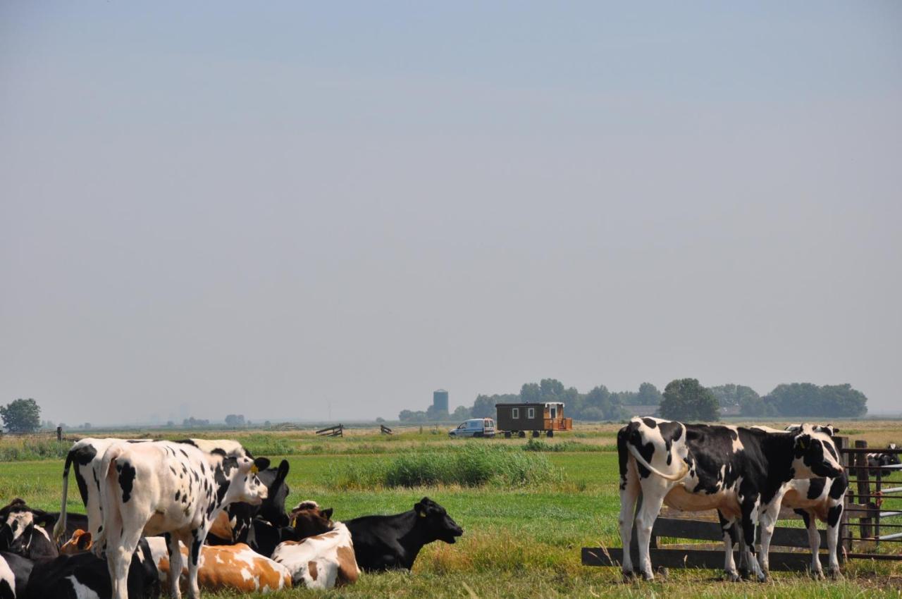 Your Cozy Waggon At The Cows' Paradise Amsterdam Extérieur photo